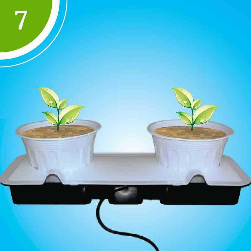 Hệ thống trồng cây thông minh Hoptri Dualtray