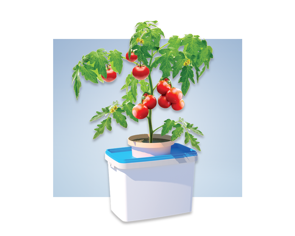 Hoptry Growbox Fruity Kit 10 cac thanh phan cua bo san pham
