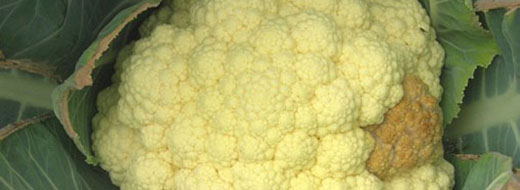 Potassium Cauliflower