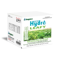 Hợp Trí Hydro Leafy