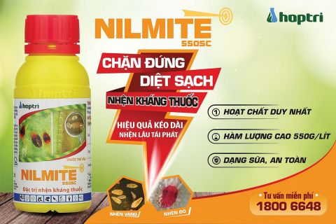 NILMITE 550SC – thuốc trừ nhện hoạt chất thế hệ mới duy nhất có mặt ở thị trường Việt Nam