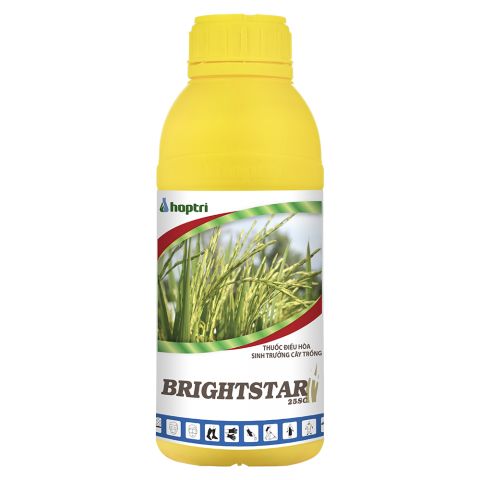 Brightstar 25SC thuốc điều hòa sinh trưởng cây trồng